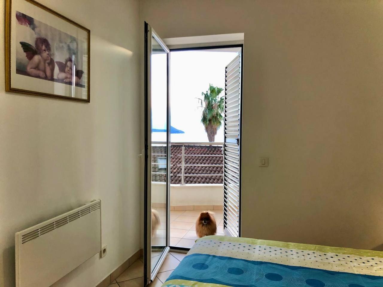 Boka Residence 7 تْشيرسيك نوفي المظهر الخارجي الصورة